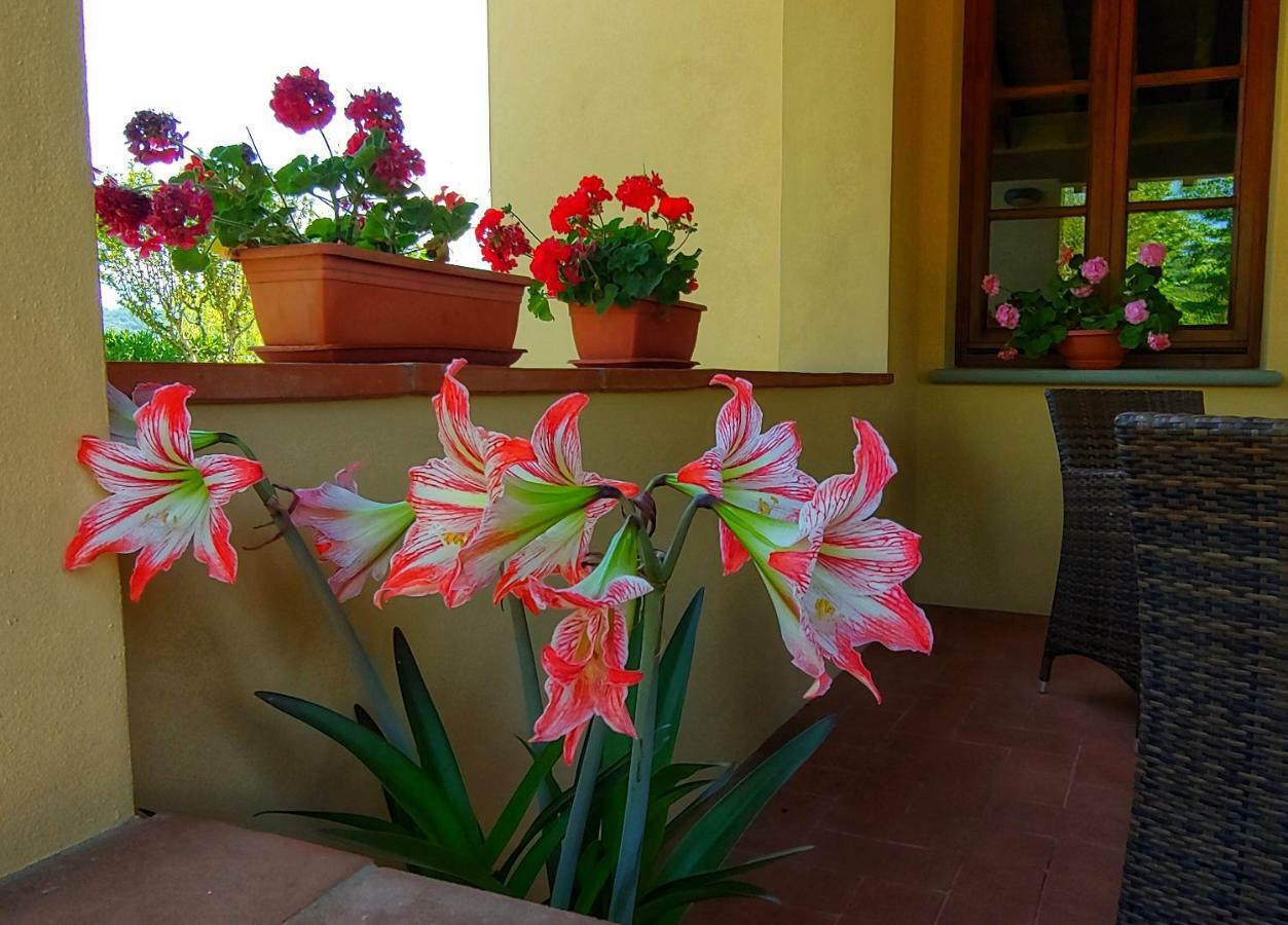Torrebianca Tuscany Rignano Sull Arno Ngoại thất bức ảnh